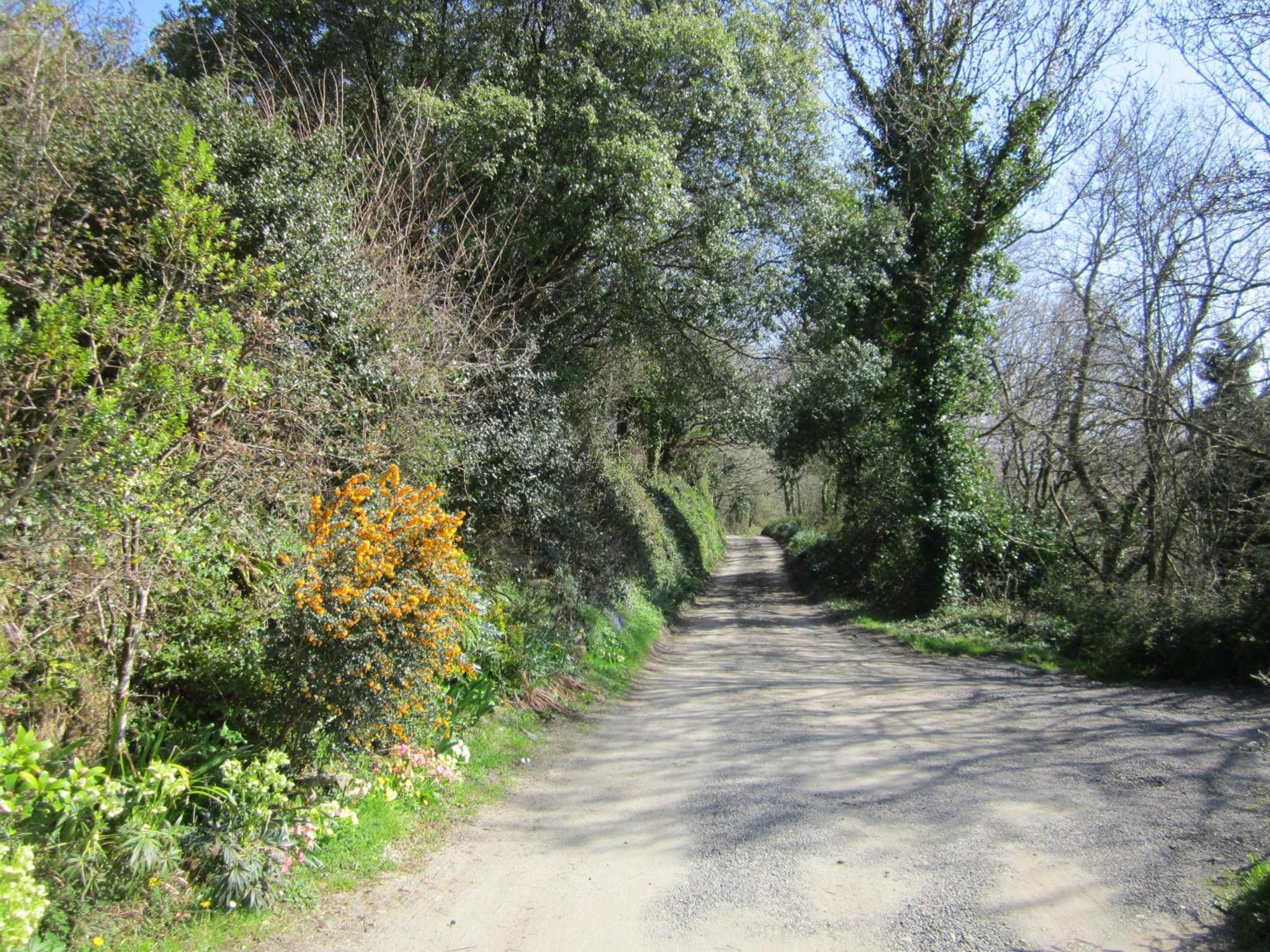 Higher Coombe Bovey Tracey Exterior foto